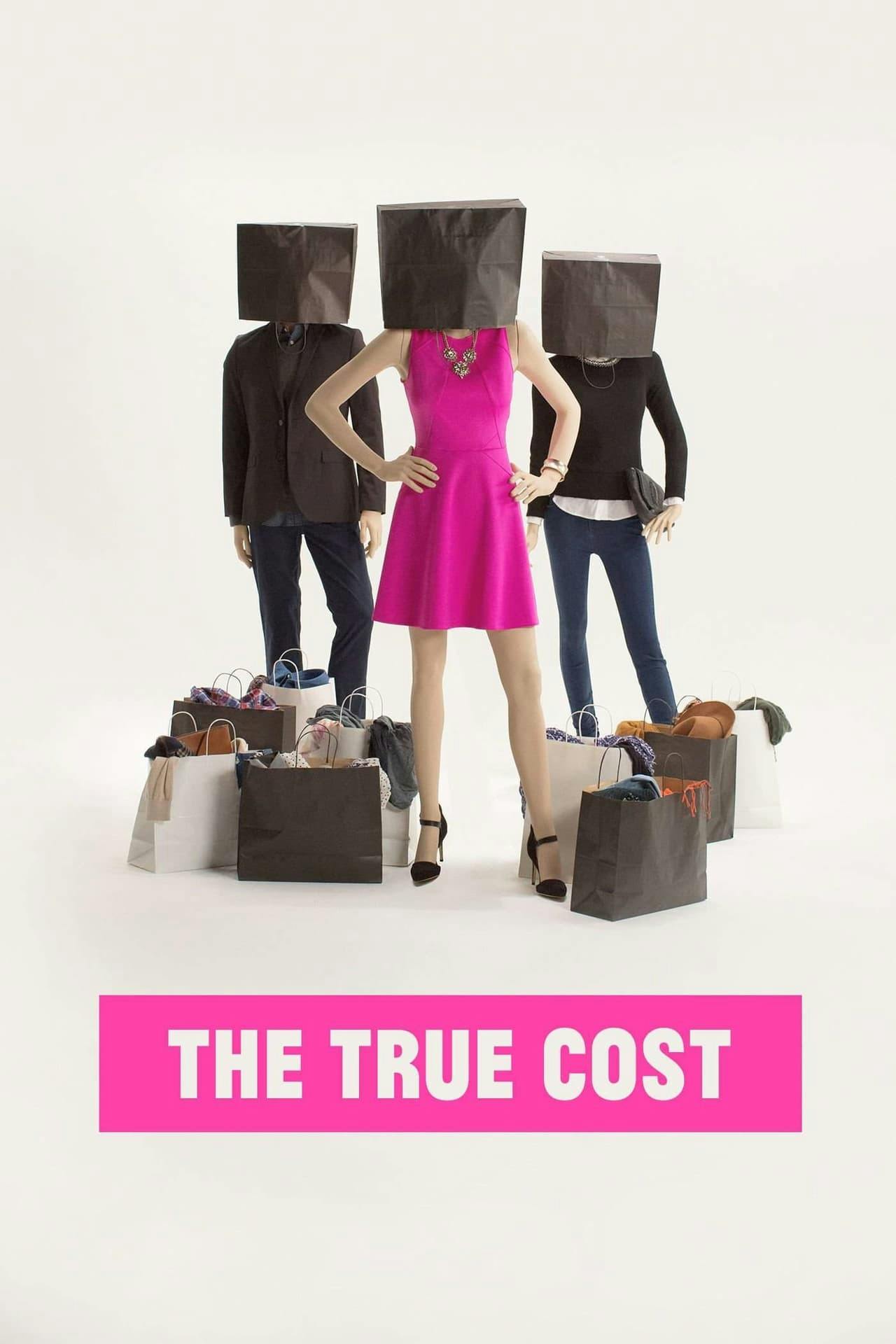 Assistir The True Cost Online em HD