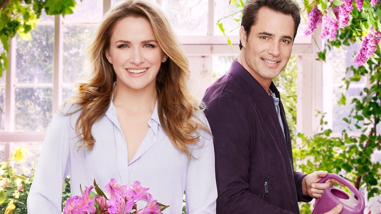 Love Blossoms assista online