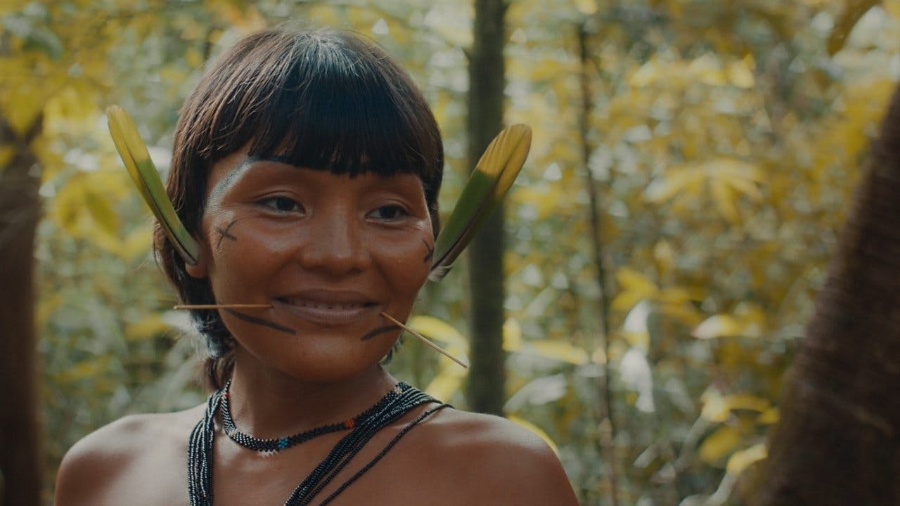 A Última Floresta assista online
