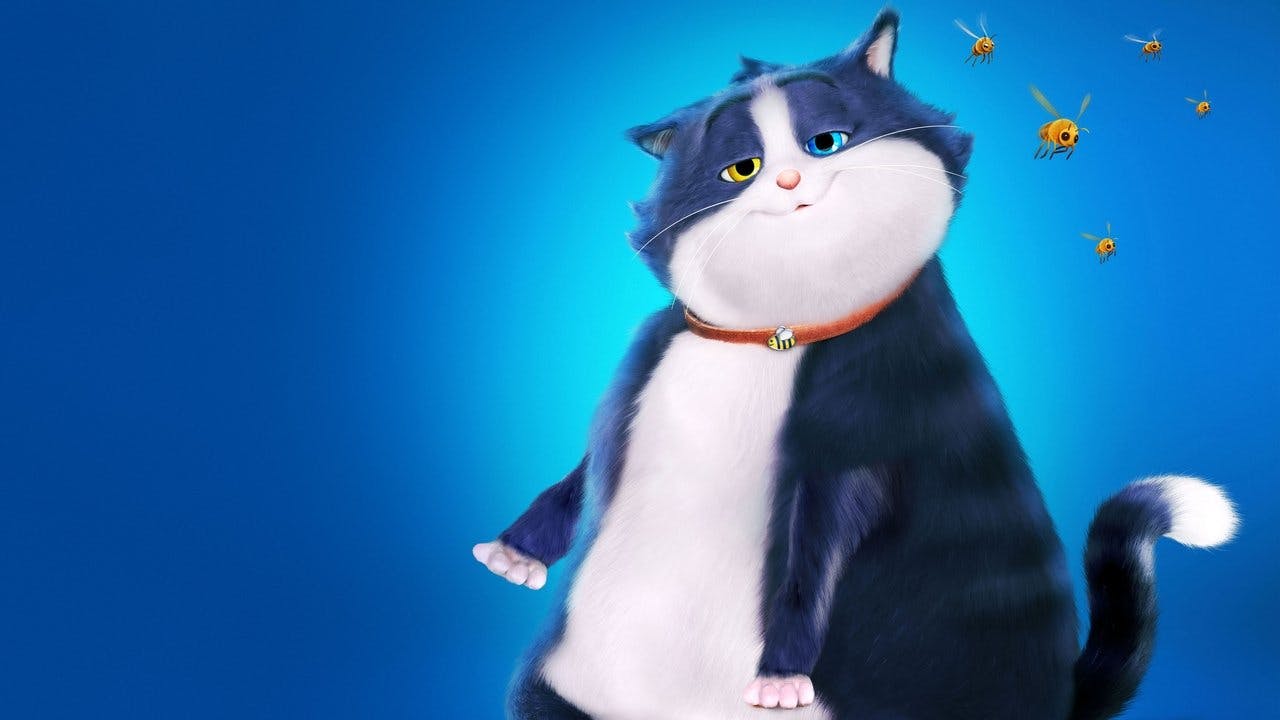 Um Gato de Sorte