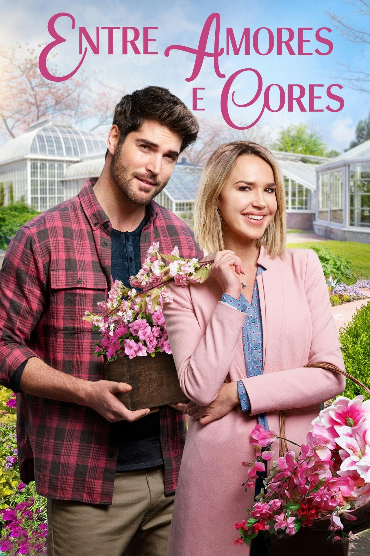 Assistir Entre Amores e Cores Online em HD