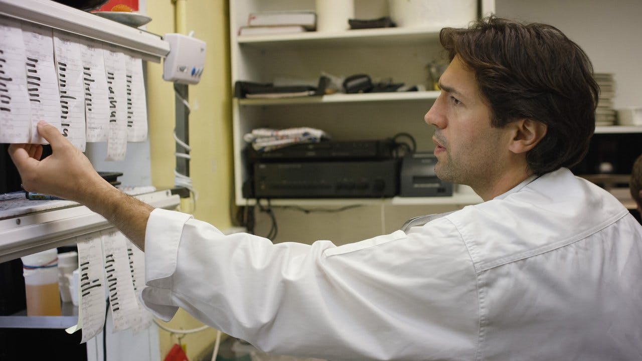 assista ao episódio 5 da temporada 1