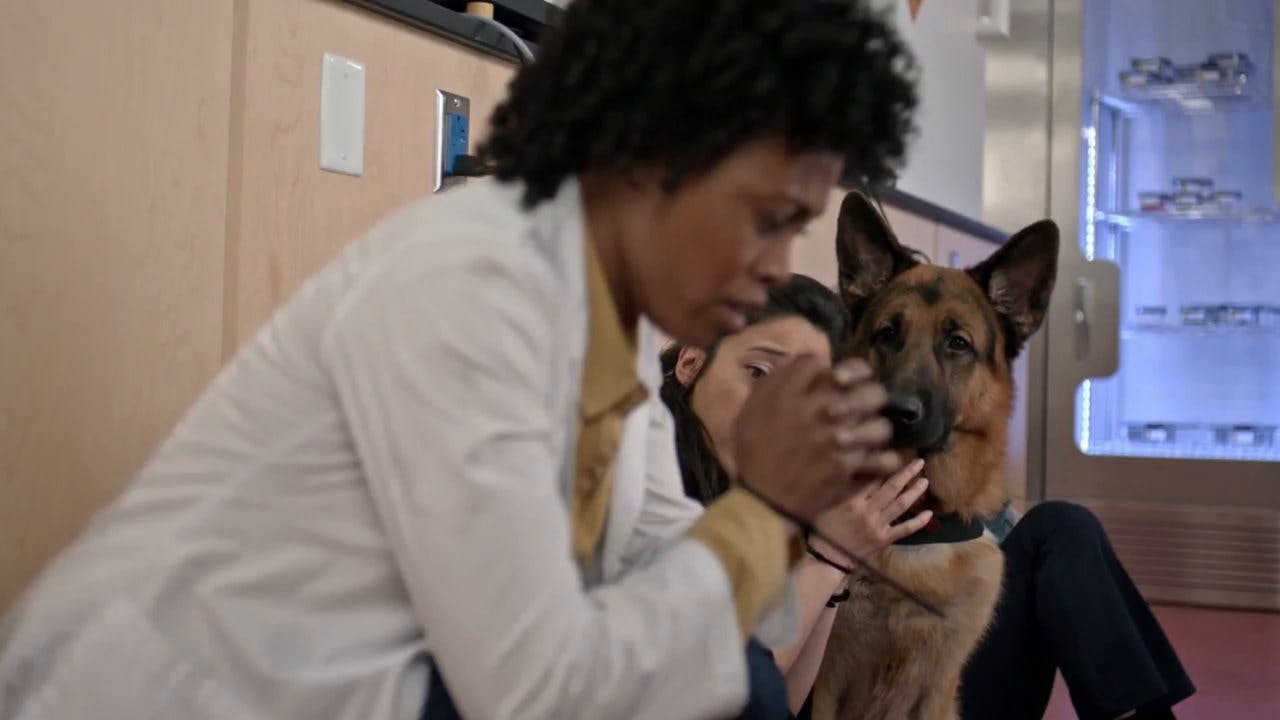 assista ao episódio 7 da temporada 1