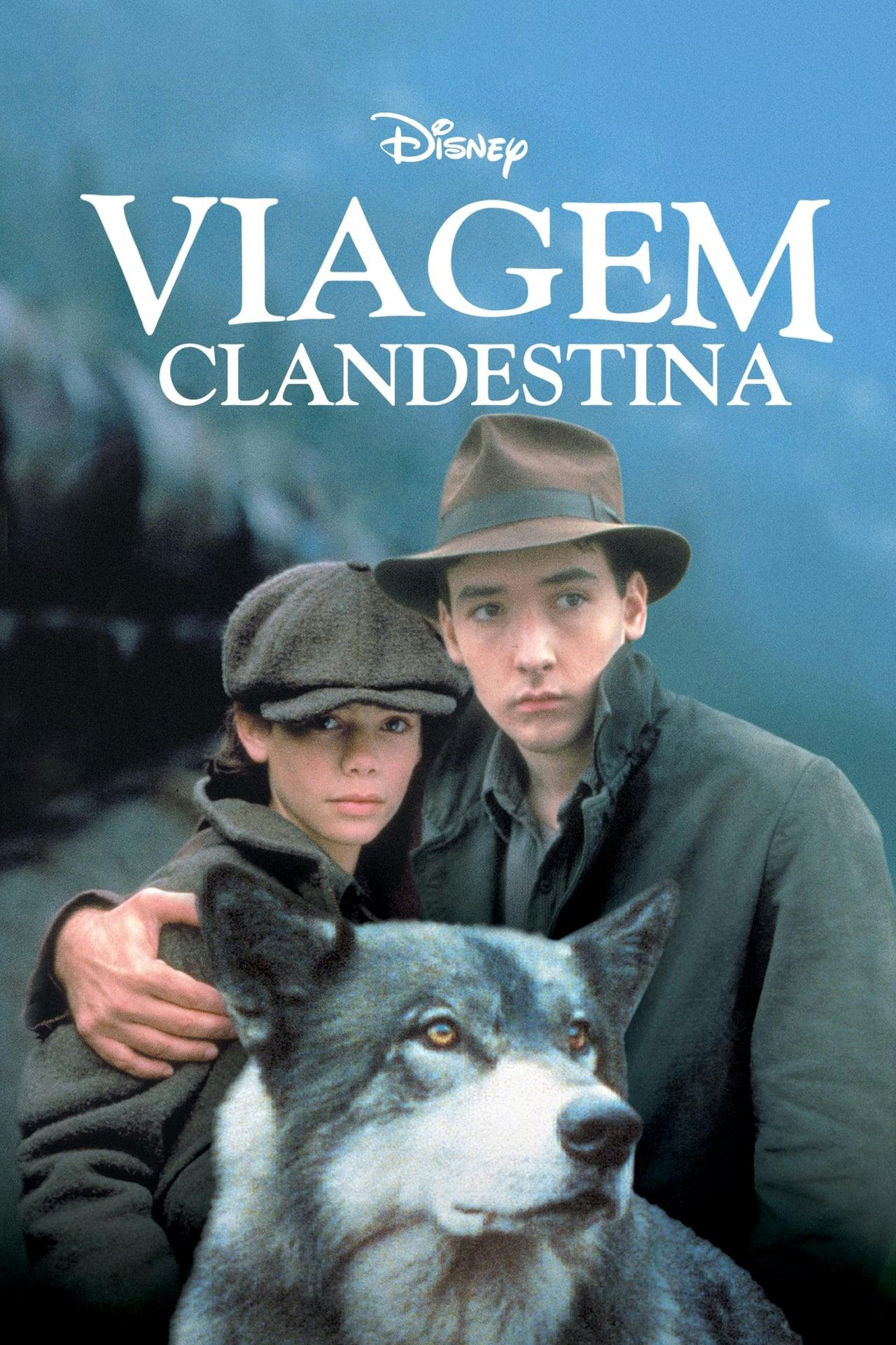 Assistir Viagem Clandestina Online em HD