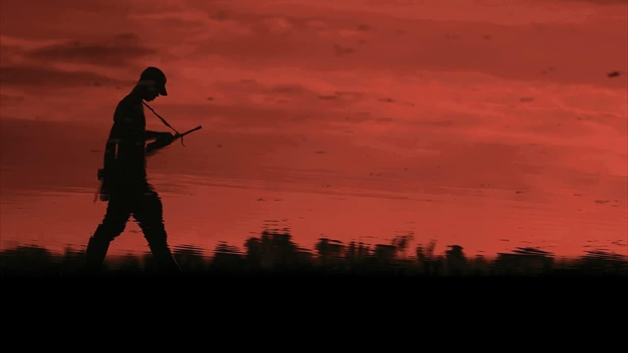 Colombia in My Arms assista online