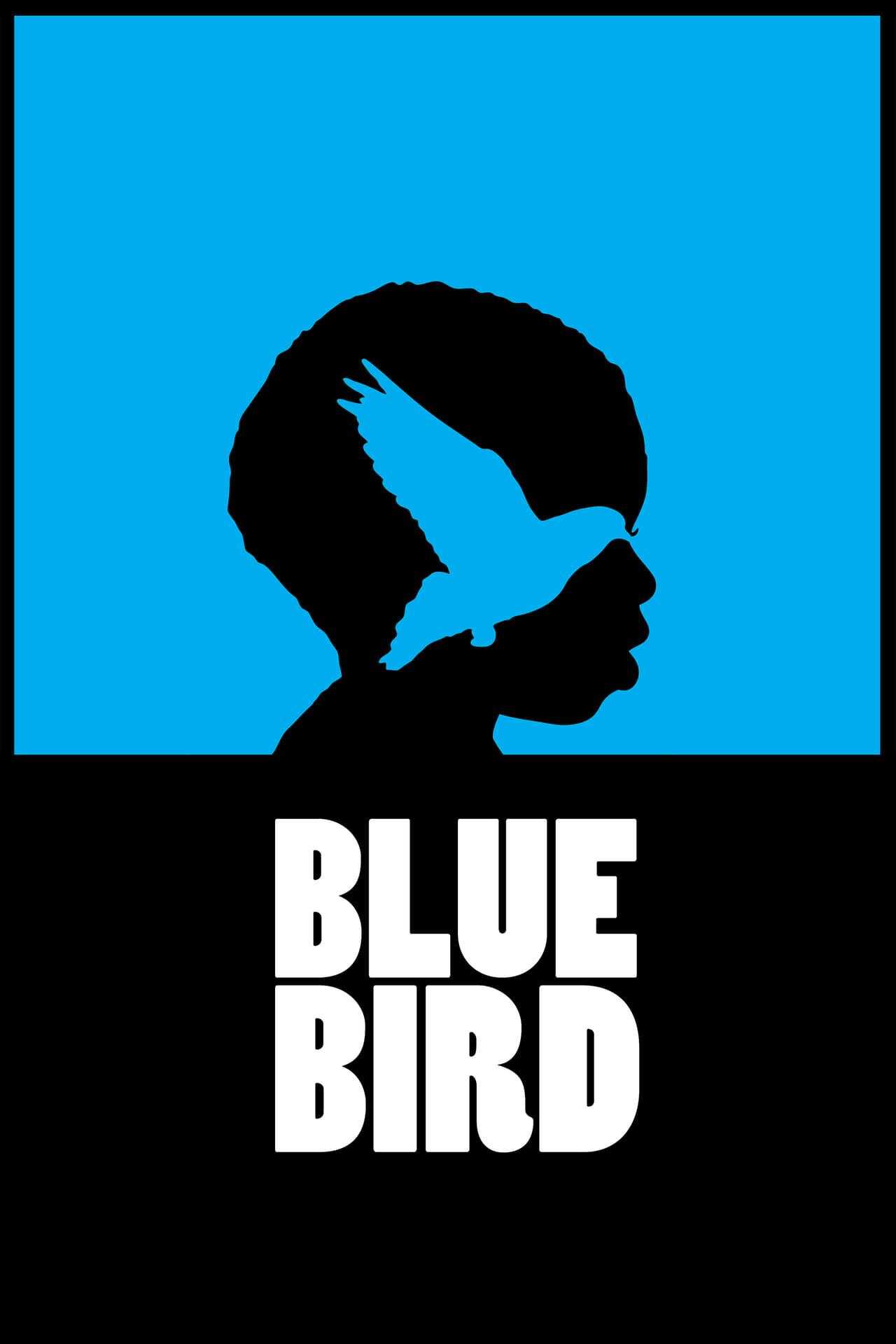 Assistir Blue Bird Online em HD