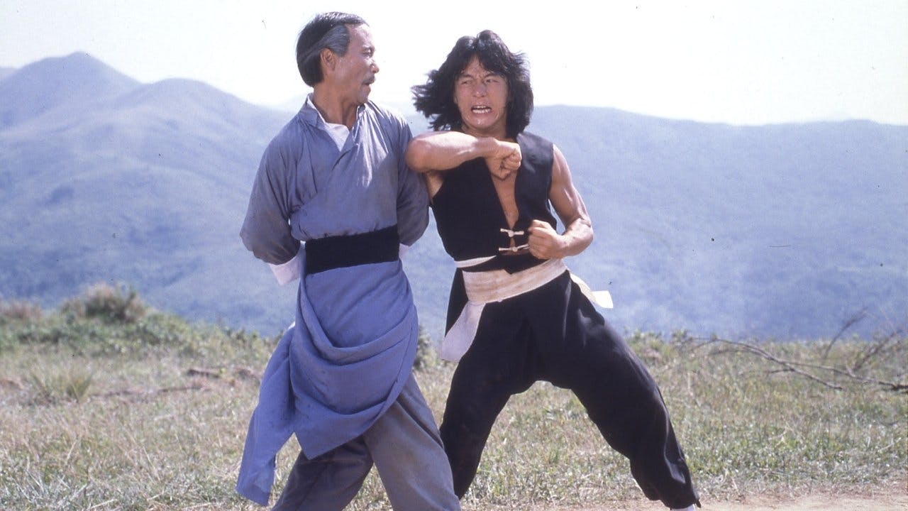 O Jovem Mestre do Kung Fu assista online