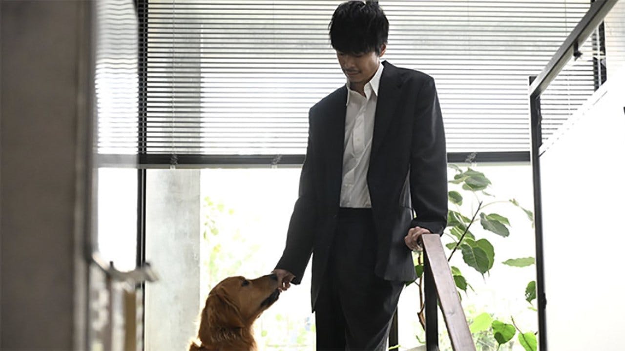 assista ao episódio 6 da temporada 1