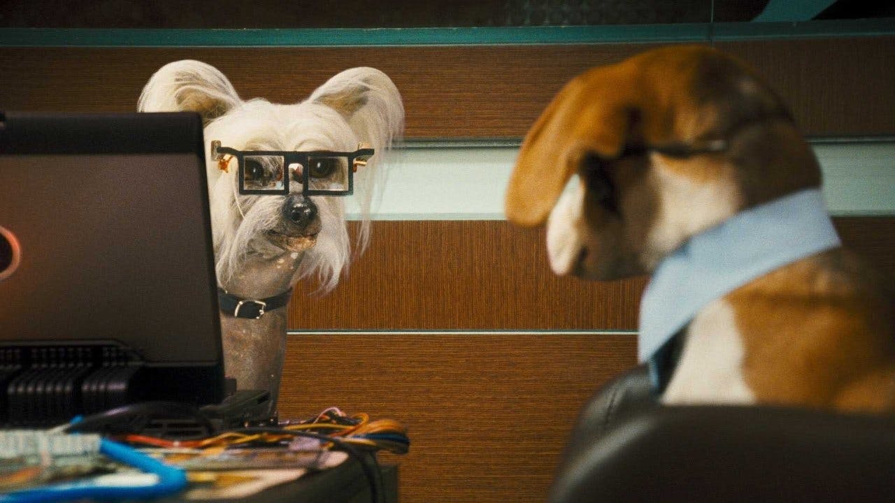 Como Cães e Gatos 2: A Vingança de Kitty Galore