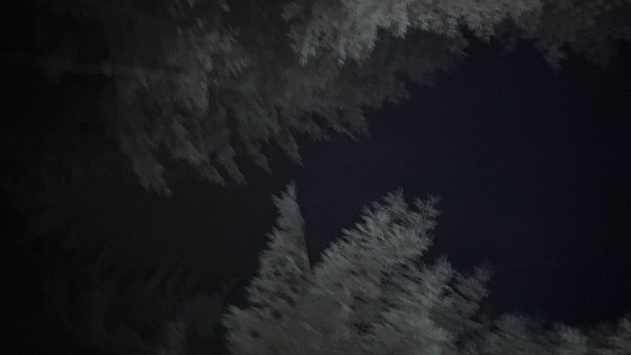 Last to Die assista online