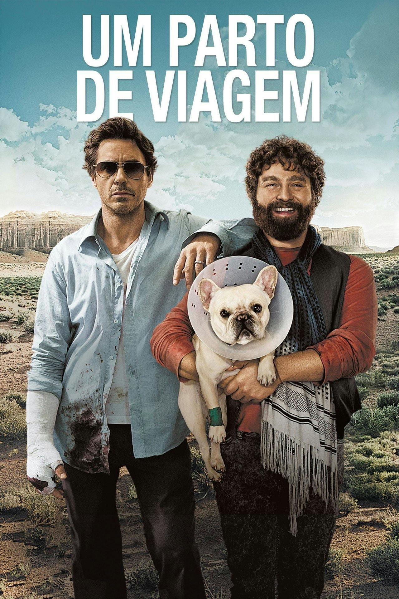 Assistir Um Parto de Viagem Online em HD
