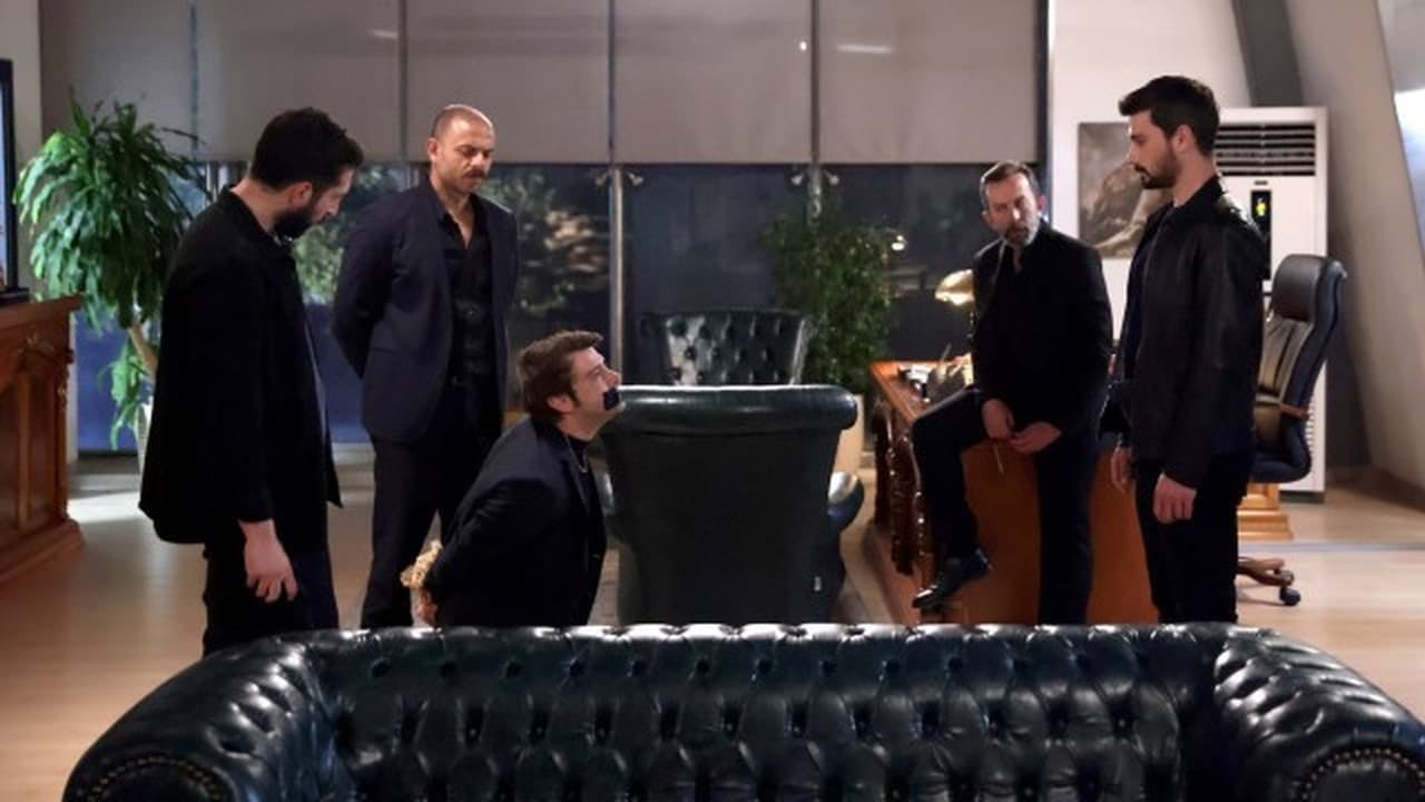 assista ao episódio 29 da temporada 1