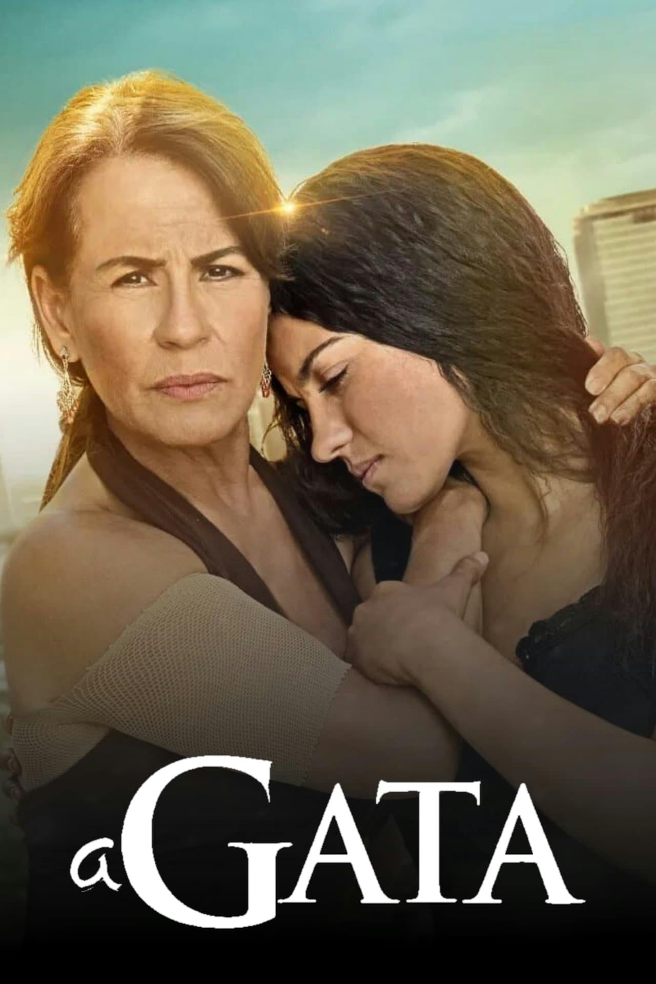 Assistir A Gata Online em HD