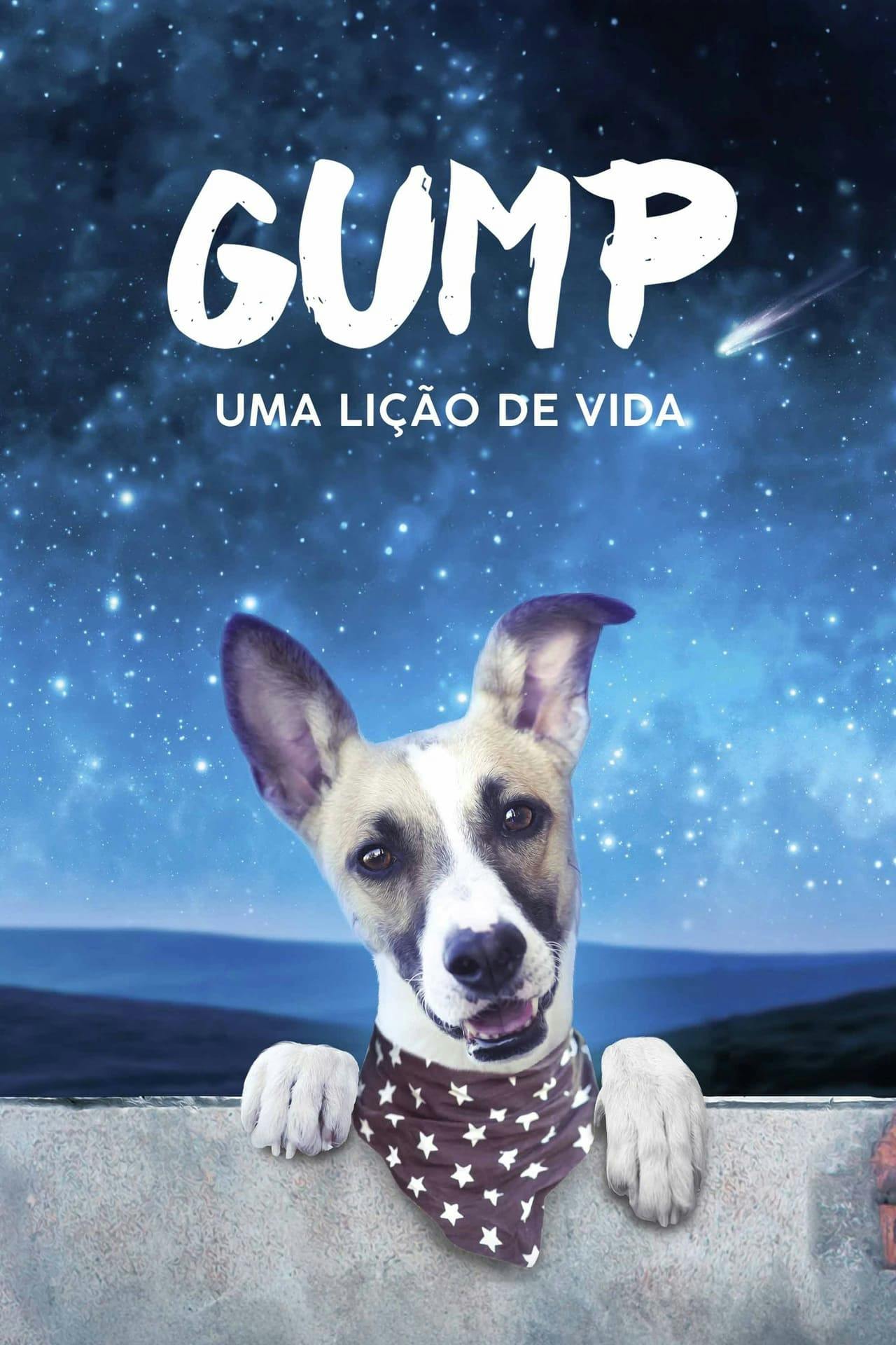 Assistir Gump: Uma Lição de Vida Online em HD