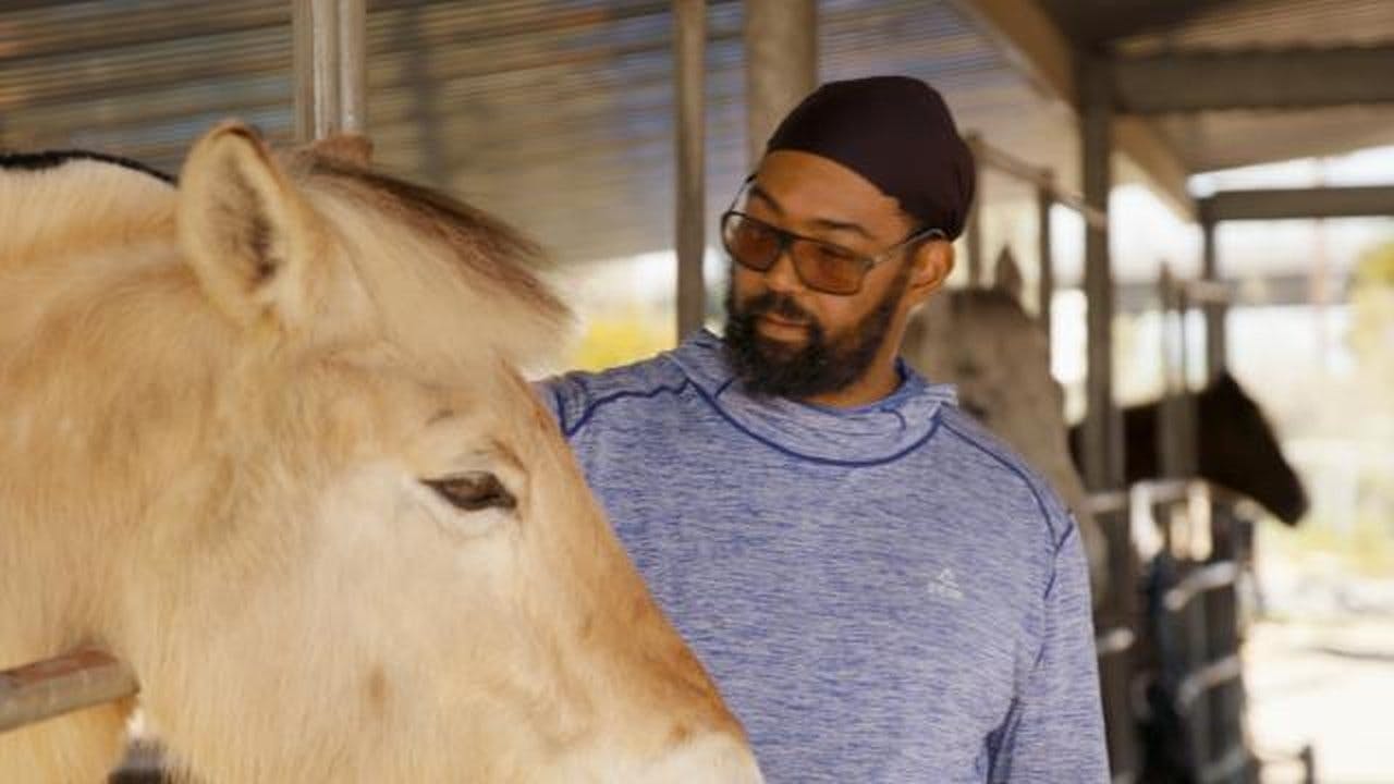 assista ao episódio 16 da temporada 1