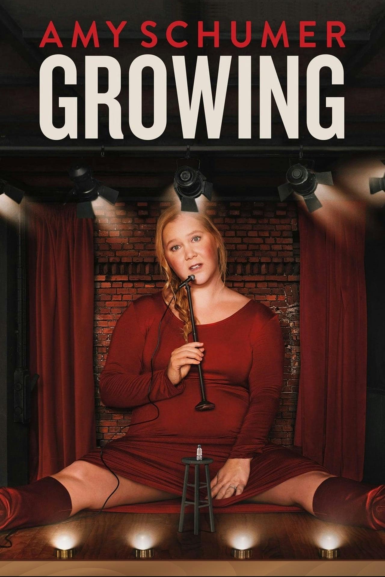 Assistir Amy Schumer: Growing Online em HD