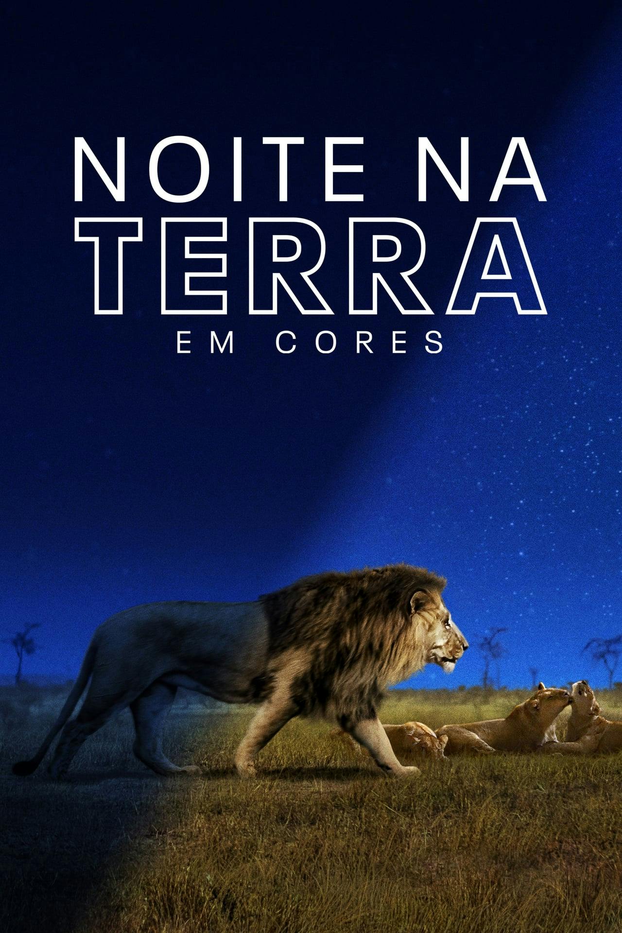 Assistir Noite na Terra em Cores Online em HD