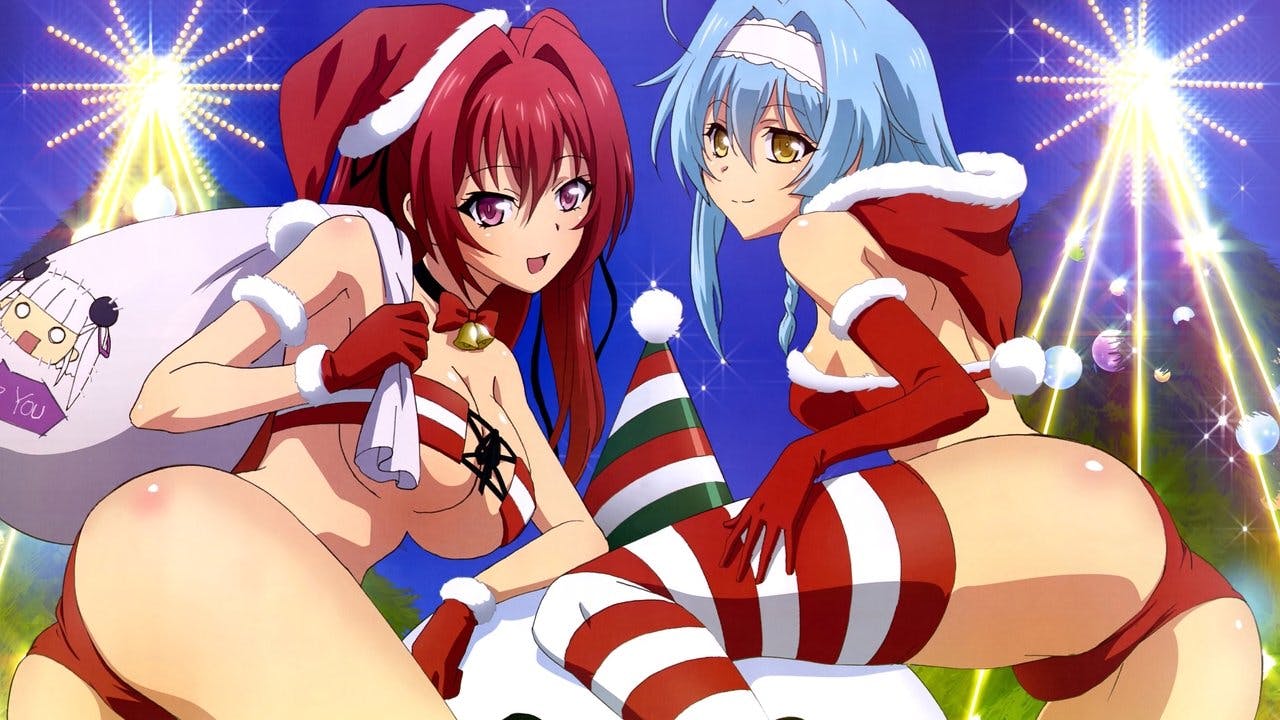 The Testament of Sister New Devil