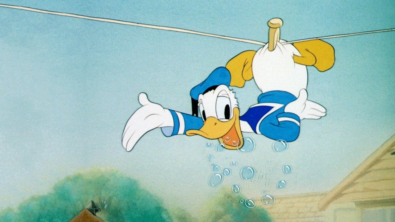 Lavanderia de Cachorros do Donald