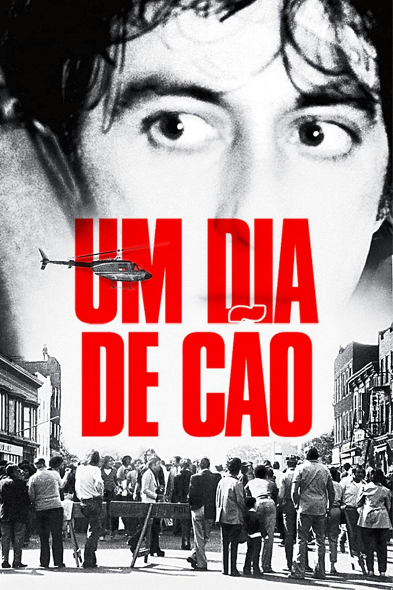 Assistir Um Dia de Cão Online em HD