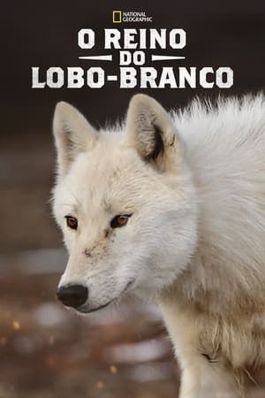 O Reino do Lobo-Branco Online em HD