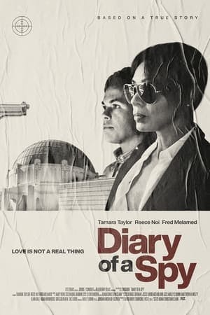 Diary of a Spy Online em HD