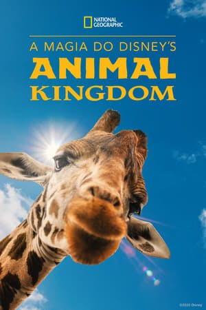 A Magia do Disney’s Animal Kingdom Online em HD