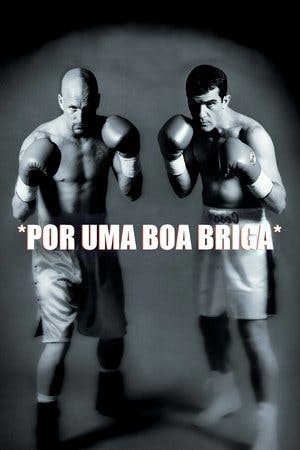 Por uma Boa Briga Online em HD