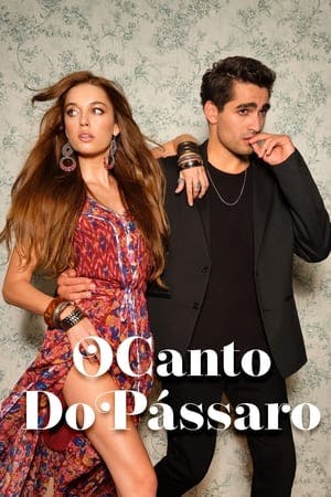 O Canto do Pássaro Online em HD