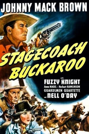 Stagecoach Buckaroo Online em HD