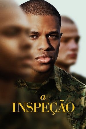 A Inspeção Online em HD