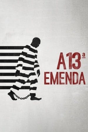 A 13ª Emenda Online em HD