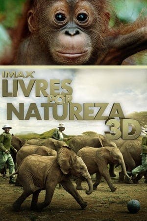 Livres por Natureza Online em HD