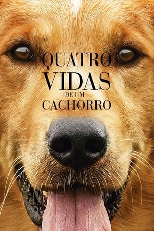 Quatro Vidas de um Cachorro Online em HD