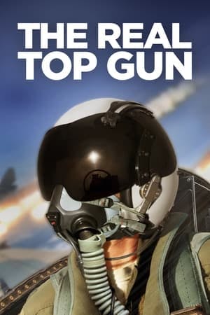 The Real Top Gun Online em HD