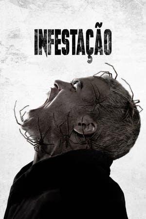 Infestação Online em HD