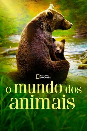 O Mundo dos Animais Online em HD