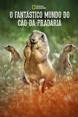 O Fantástico Mundo do Cão-da-Pradaria Online em HD