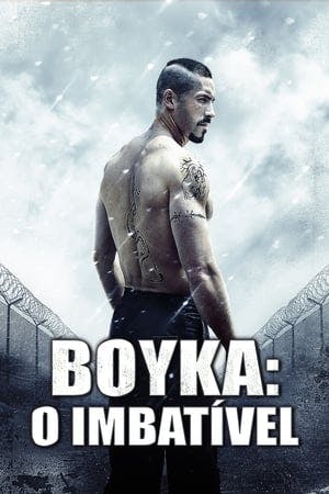 Boyka: O Imbatível Online em HD