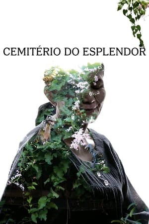 Cemitério do Esplendor Online em HD