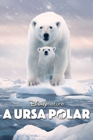 A Ursa Polar Online em HD