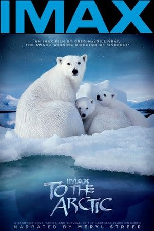 To the Arctic 3D Online em HD
