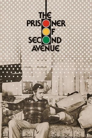 O Prisioneiro da Segunda Avenida Online em HD