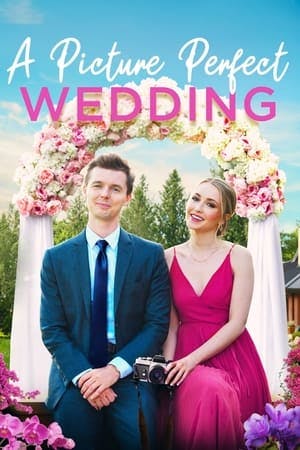 A Picture Perfect Wedding Online em HD