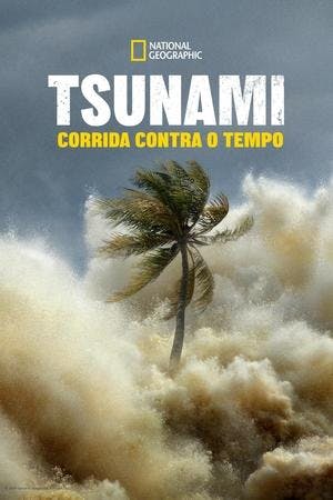 Tsunami: Corrida Contra o Tempo Online em HD