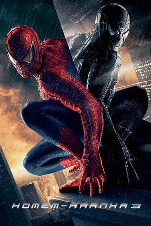 Homem-Aranha 3 Online em HD