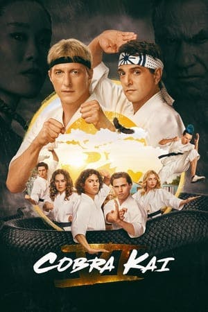 Cobra Kai Online em HD