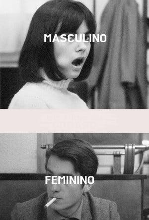 Masculino, Feminino Online em HD