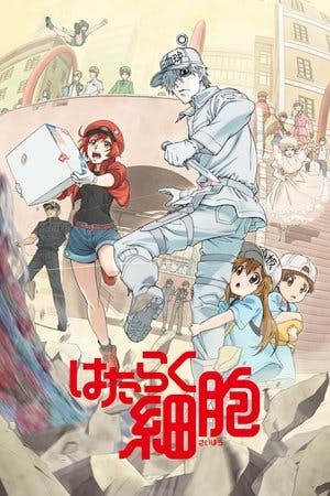 Cells at Work! Online em HD