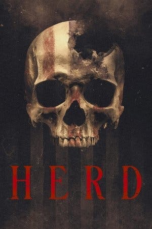 Herd Online em HD